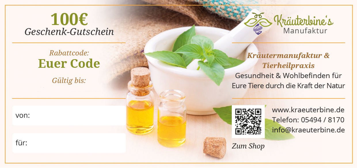 Geschenk-Gutschein, 100 € 
