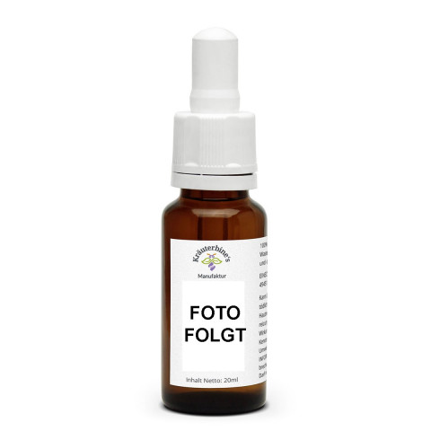 Winterlicht, natürliche, ätherische Dufttölmischung, naturrein