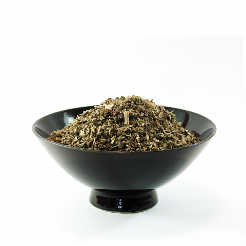 Katzenminzekraut geschnitten