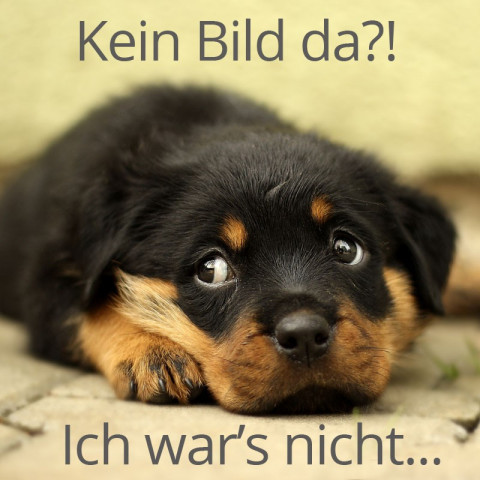 Brunnenkresse geschnitten, 500g