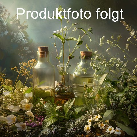 Fenchel grün, süß, gequetscht