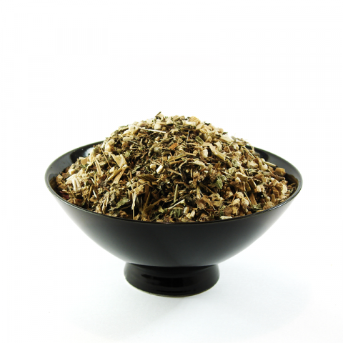 Echinacea (Purpursonnenhutkraut) geschnitten