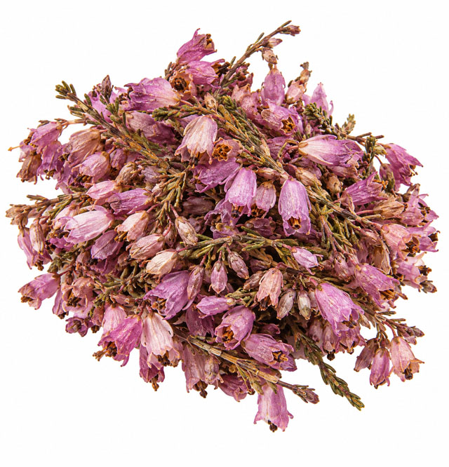 Erikablüten